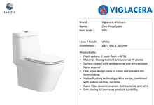Load image into Gallery viewer, Viglacera 1pc dual flush toilet V68