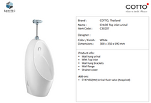 Load image into Gallery viewer, Cotto Chloe Urinal Top Inlet C30207