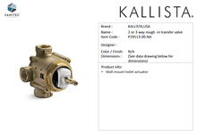 Load image into Gallery viewer, Kallista Pinna Paletta Transfer Trim , Lever Handle P24924-ADW-AD