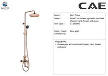 Load image into Gallery viewer, Cae Camellia wall-mounted shower pipe with hand &amp; overhead shower and spout 17.2550RG
