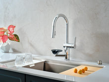 Load image into Gallery viewer, Kohler Kitchen Faucet w/ Cup Rinsing Koi K34861T-4-CP
