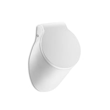Load image into Gallery viewer, Roca Spun urinal with cover back inlet  A353148000
