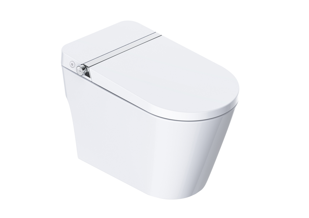 WDI Ecotech Intelligent Toilet with manual flush FE111-33-RD1