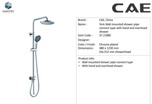 Load image into Gallery viewer, CAE 2in1 shower set w/headshower 10" 37.2188C
