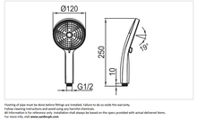 Load image into Gallery viewer, CAE 3jet handshower 53.281801-SP
