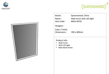 Load image into Gallery viewer, Queenswood  wall mirror w/ LED 700x400mm MDO-4070J
