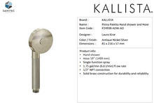 Load image into Gallery viewer, Kallista Pinna Paletta Handshower and Hose  P24938-ADW-AD
