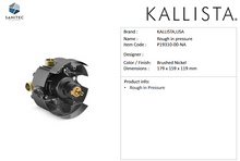 Load image into Gallery viewer, Kallista Pinna Palleta Pressure Balance Trim, Lever Handle P24915-ADW-AD
