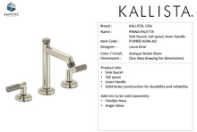Load image into Gallery viewer, Kallista Sink Faucet, Tall Spout, Lever Handles Pinna Paletta P24900-ADW-AD
