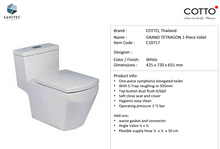 Load image into Gallery viewer, Cotto Grand Tetragon One Piece Watercloset  C10717
